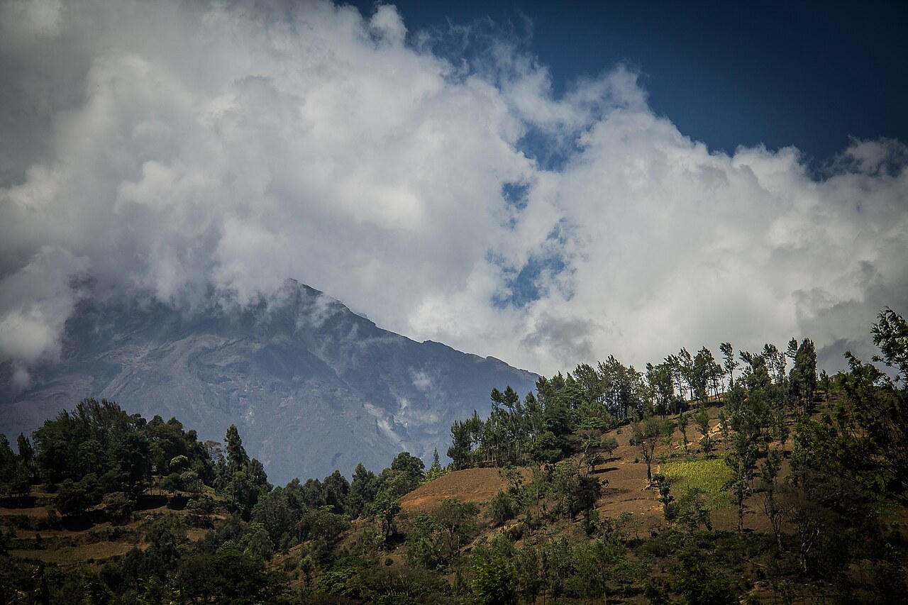 Arusha